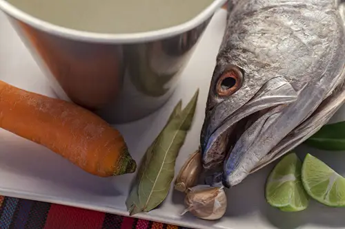 Caldo de Pescado